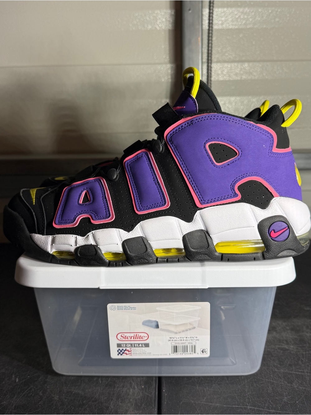 Size 12 - Nike Air More Uptempo '96 Court Purple
